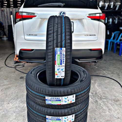 Lốp Otani 225_60R18 mặt đứng Lốp Otani 225/60R18 104V XL KN1000